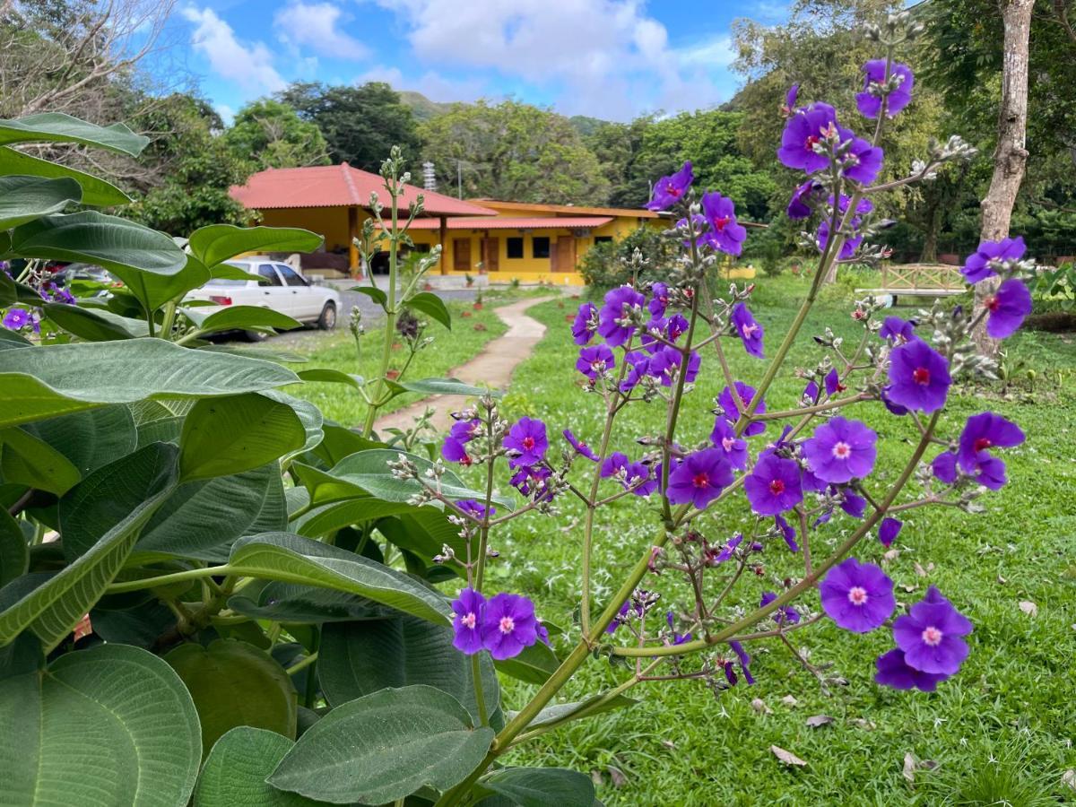 El Valle Resort & Spa - Aguas Termales El Valle de Anton Ngoại thất bức ảnh